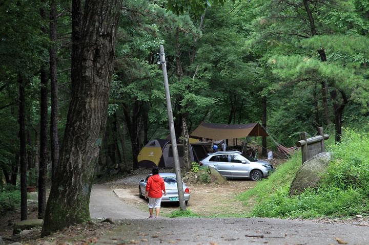 와룡자연휴양림 자동차야영장 캠핑장 · GoCamping 제공