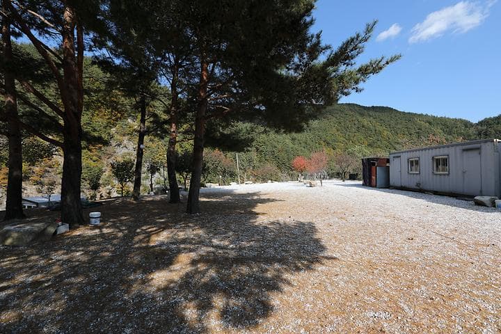 왕피천모래언덕 펜션/캠핑장 캠핑장 · GoCamping 제공