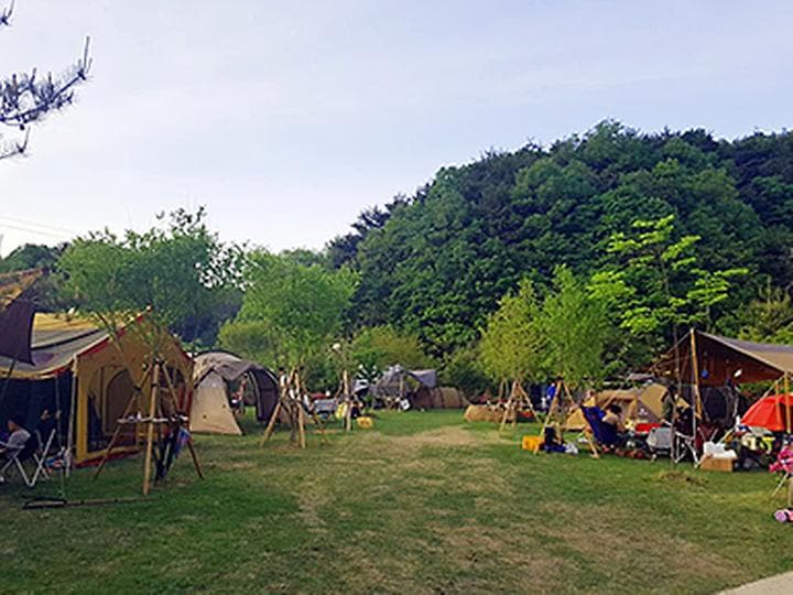 달자캠핑장 캠핑장 · GoCamping 제공