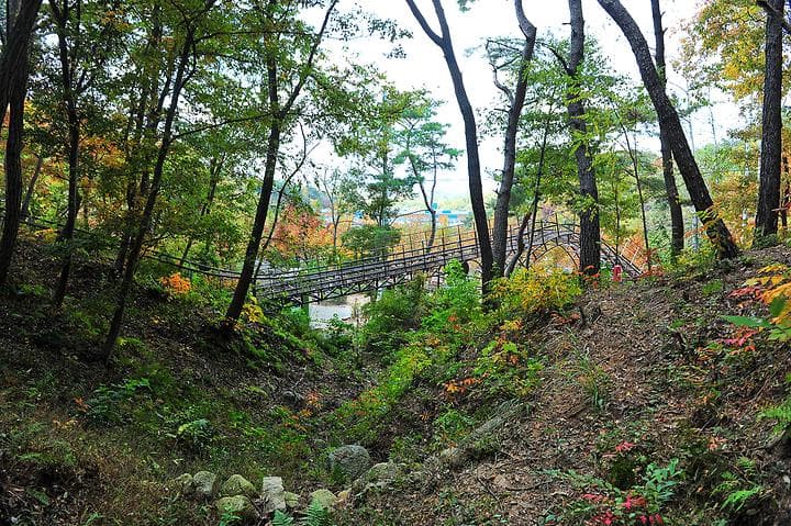 입화산 참살이숲 제2오토야영장 캠핑장 · GoCamping 제공