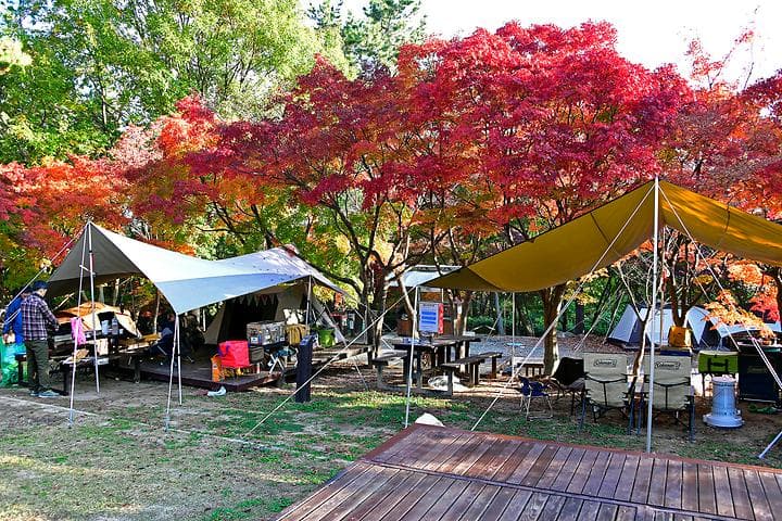 월출산국립공원 천황야영장 캠핑장 · GoCamping 제공
