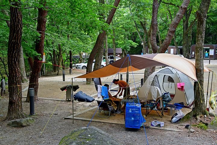 치인야영장 캠핑장 · GoCamping 제공