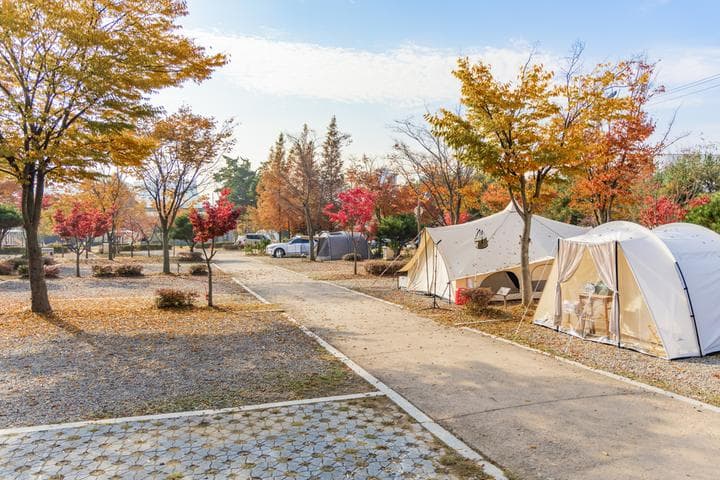 화성시 향남 오토캠핑장 캠핑장 · GoCamping 제공
