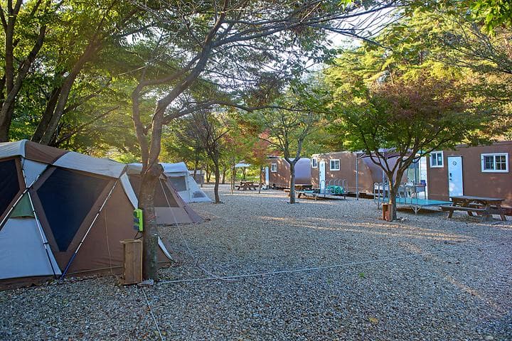 가족소풍 캠핑장 · GoCamping 제공