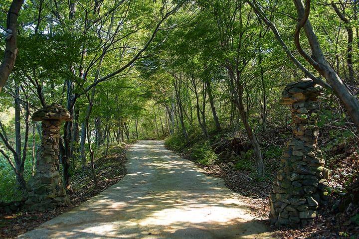 궁지골 농원 캠핑장 · GoCamping 제공