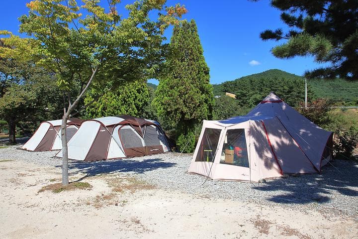 늘푸른캠핑장 캠핑장 · GoCamping 제공