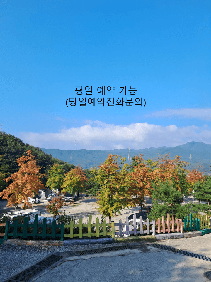 단풍숲캠핑장 캠핑장 · GoCamping 제공