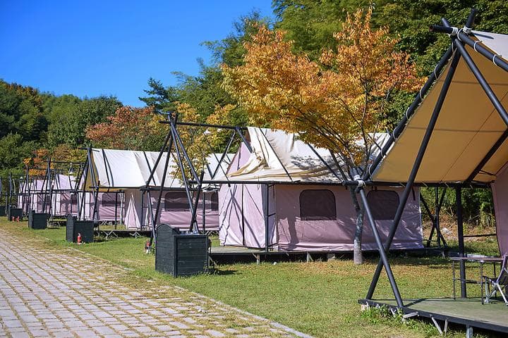 담양금성산성 오토캠핑장 캠핑장 · GoCamping 제공