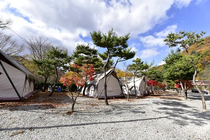 리즈밸리 캠핑장 · GoCamping 제공