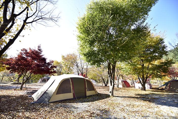 별빛오토캠핑장 캠핑장 · GoCamping 제공