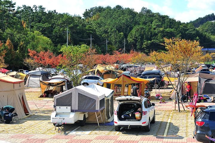 당항포관광지 오토캠핑장 캠핑장 · GoCamping 제공