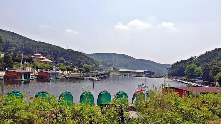 싱글벙글캠핑장 캠핑장 · GoCamping 제공