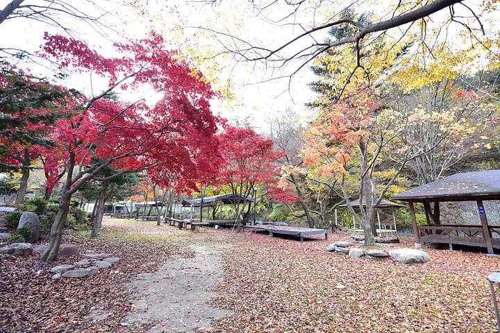 유명산밸리캠핑장 캠핑장 · GoCamping 제공