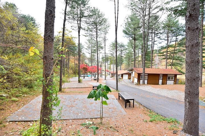 유명산힐링캠프 캠핑장 · GoCamping 제공