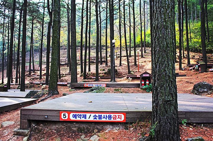 제암산자연휴양림 야영장 캠핑장 · GoCamping 제공