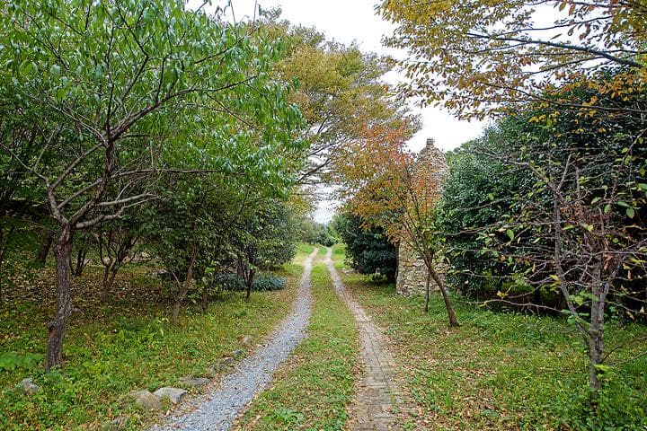 주작산자연휴양림 캠핑장 · GoCamping 제공