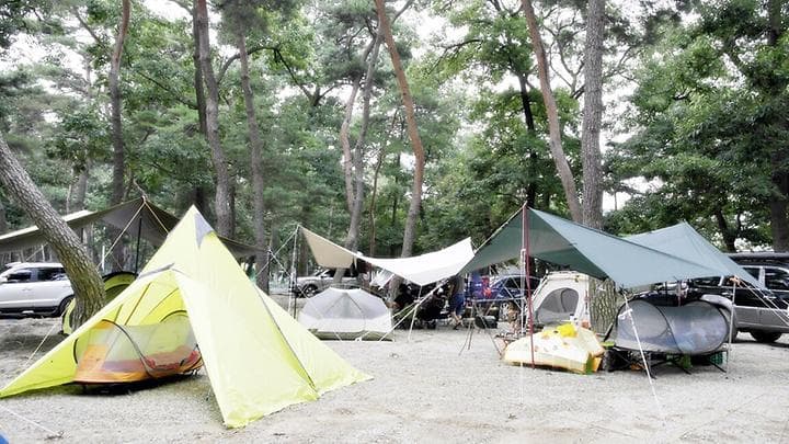 후평숲캠핑장 캠핑장 · GoCamping 제공