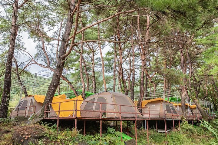솔내음 캠핑장 캠핑장 · GoCamping 제공