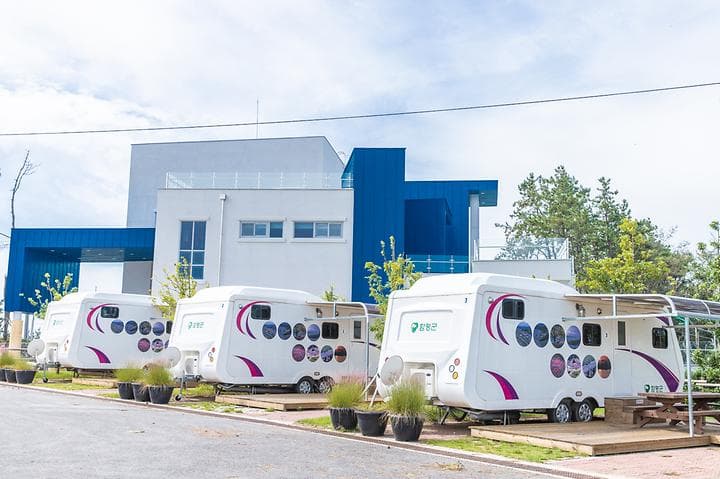 돌머리 오토캠핑장 캠핑장 · GoCamping 제공