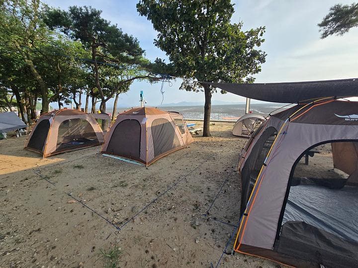 동막리 마을회 캠핑장 · GoCamping 제공