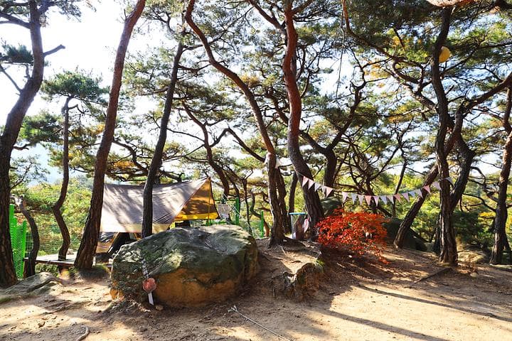 북한산농바위캠핑장 캠핑장 · GoCamping 제공