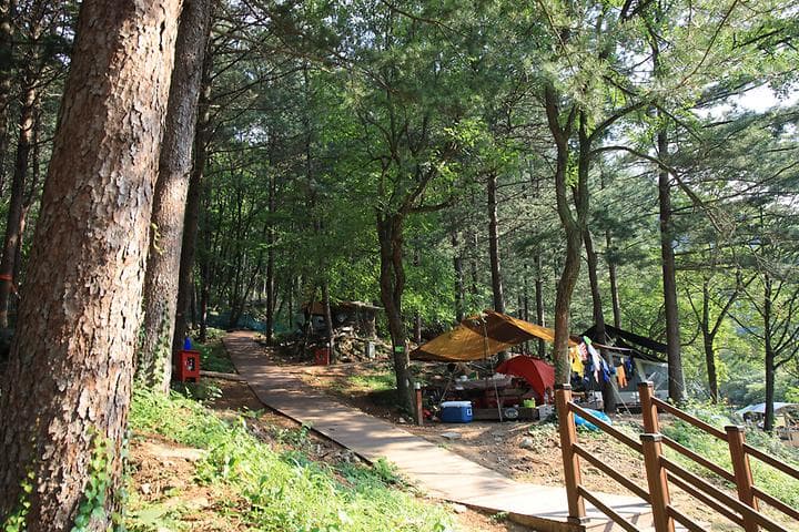 선바위 자연캠핑장 캠핑장 · GoCamping 제공