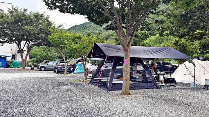 솔밭캠프 캠핑장 · GoCamping 제공