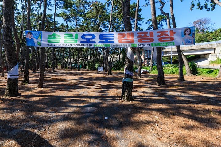 송림오토캠핑장 캠핑장 · GoCamping 제공