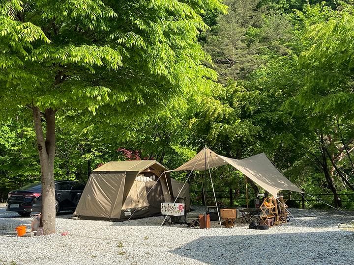 봉화별캠핑장 캠핑장 · GoCamping 제공