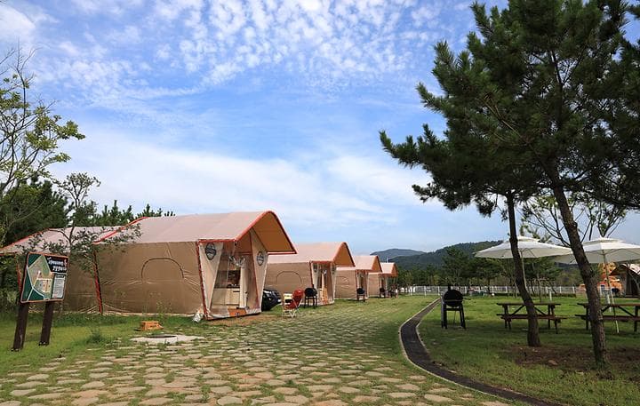 고창갯벌오토캠핑&글램핑 캠핑장 · GoCamping 제공