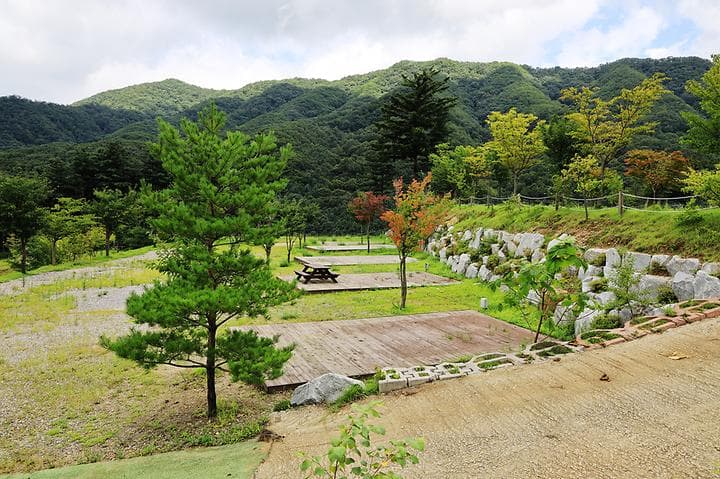 해자연캠핑장 캠핑장 · GoCamping 제공