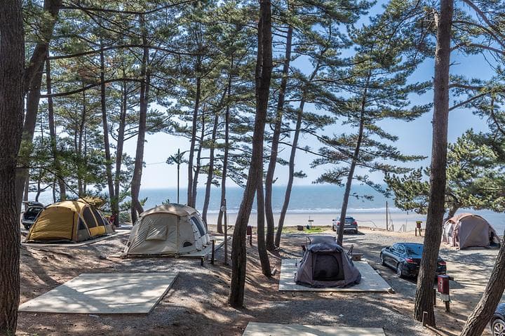 사목힐링캠프 태안캠핑농원 캠핑장 · GoCamping 제공