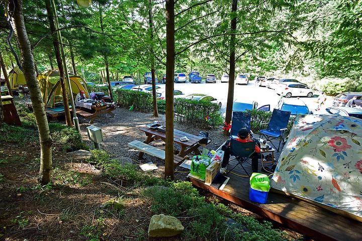 대운산자연휴양림 야영장 캠핑장 · GoCamping 제공