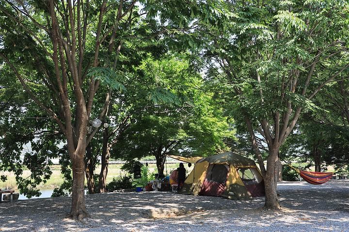 동양원목캠핑장 캠핑장 · GoCamping 제공