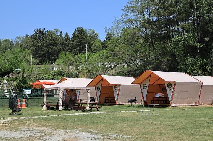 동해글램핑장 캠핑장 · GoCamping 제공