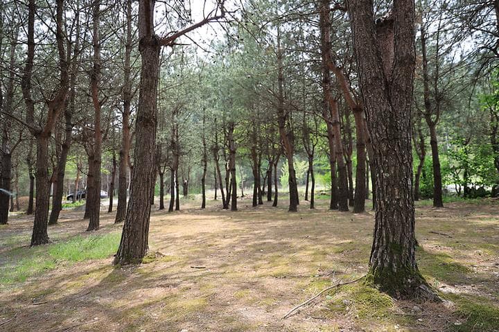 꿈꾸는 계곡 야영장 캠핑장 · GoCamping 제공