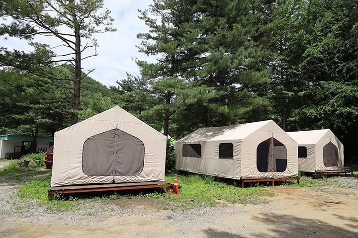 호랑이 캠핑(가평점) 캠핑장 · GoCamping 제공