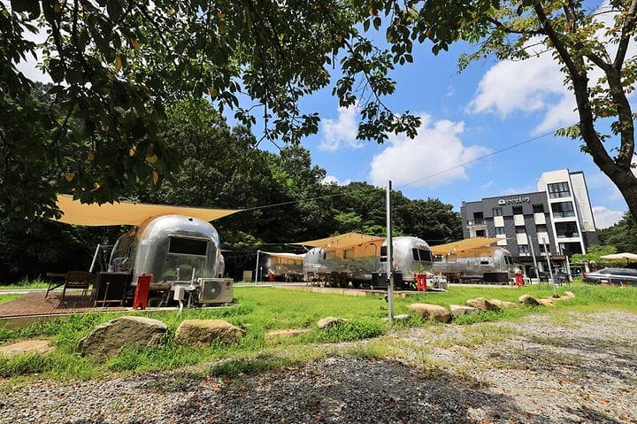 선인장 캠핑장 · GoCamping 제공