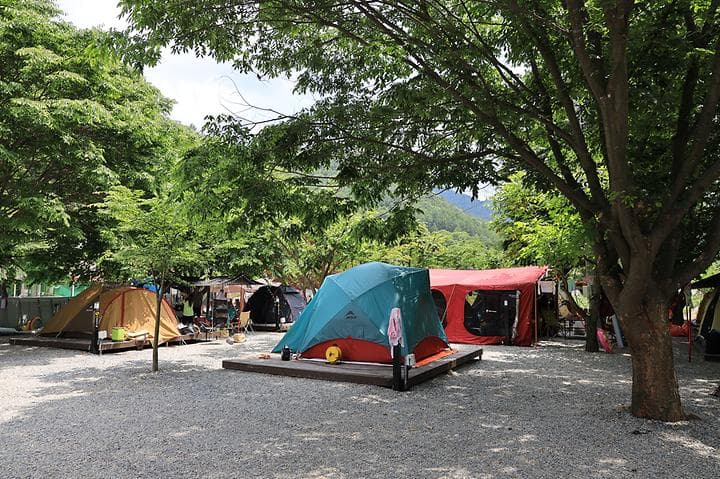 자연과함께 펜션캠핑장 캠핑장 · GoCamping 제공