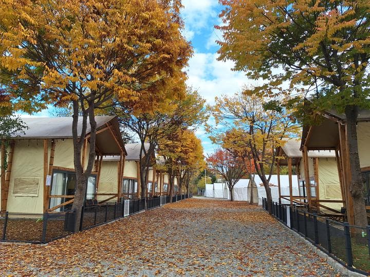 하이몽글램핑&캠핑장 캠핑장 · GoCamping 제공
