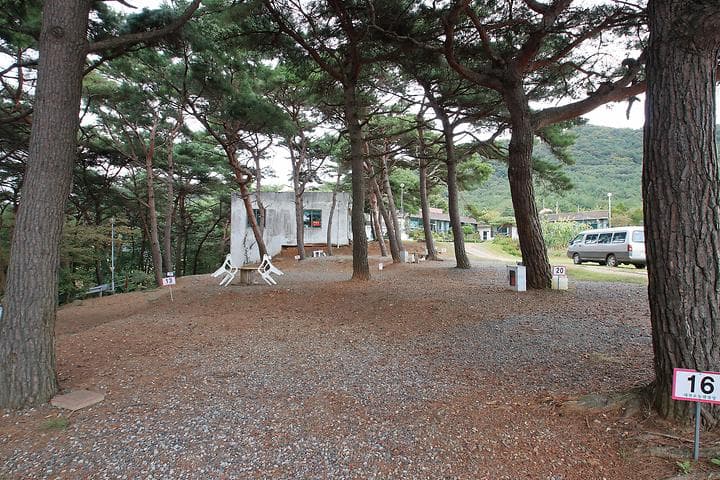 상양관광농원 캠핑장 · GoCamping 제공
