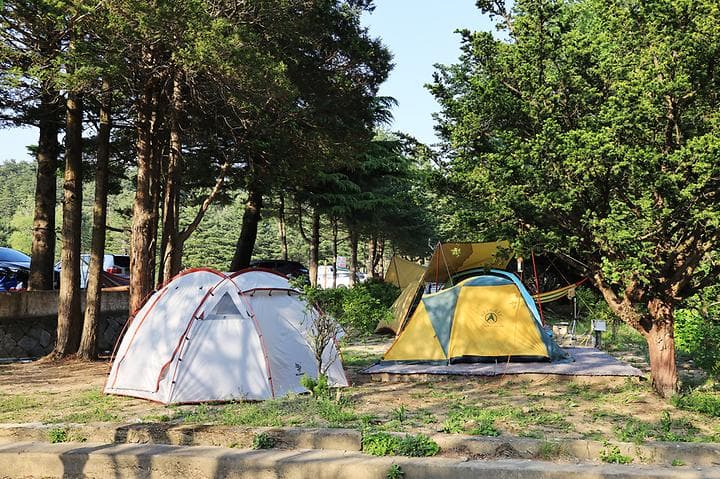 보광농촌체험휴양마을 캠핑장 · GoCamping 제공