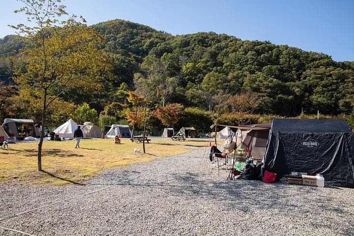 은하수 캠핑장 캠핑장 · GoCamping 제공