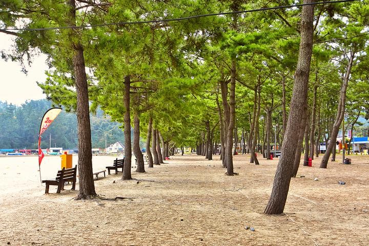 연포제1야영장 캠핑장 · GoCamping 제공