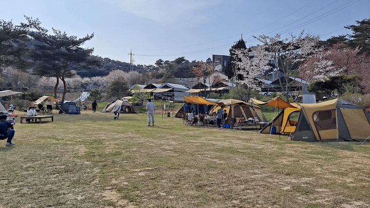 세울터 오토캠핑장 & 펜션 캠핑장 · GoCamping 제공