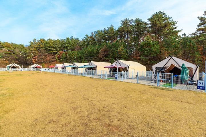 멍글멍글 펫 글램핑(주) 캠핑장 · GoCamping 제공