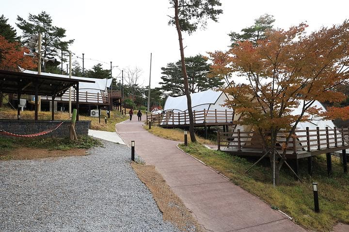 숲속야영장 캠핑장 · GoCamping 제공