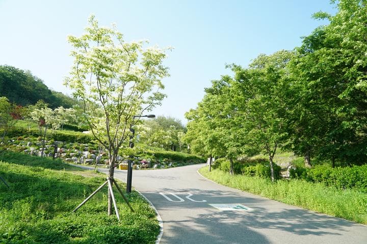 천왕산 가족캠핑장 캠핑장 · GoCamping 제공