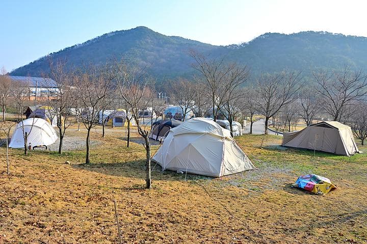 보다더캠핑 캠핑장 · GoCamping 제공
