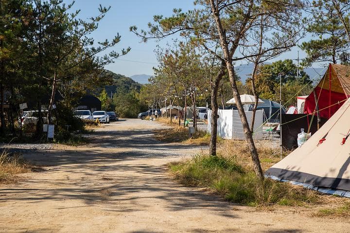 양주 리온 캠핑장 캠핑장 · GoCamping 제공